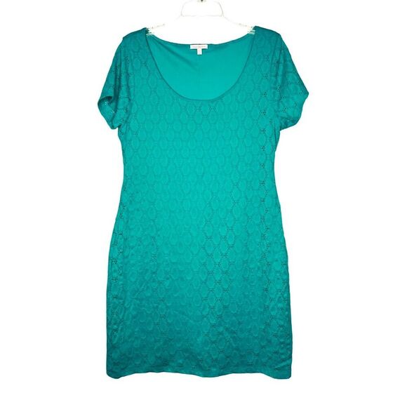 Isaac Mizrahi Green Knit Eyelet Shift Dress sz XL NWT Designer Lacy Stretchy - Picture 1 of 10